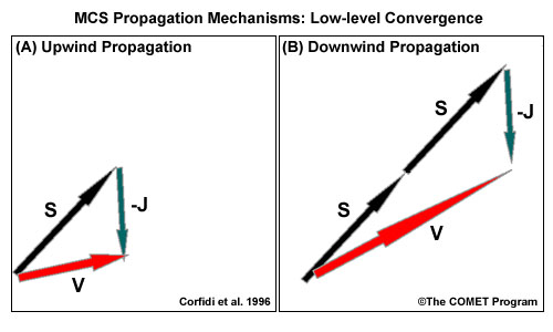 Convergence curves of the MVSE method for the LTCC, PRCC, Celeb