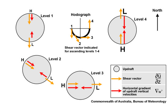 Changing arrangement of upshear high and downshear low linear pressure perturbations around an updraft embedded in a counter-clockwise hodograph. The yellow arrows show the environmental vertical shear vector at a particular level, the pink arrows the corresponding horizontal gradients of the updraft vertical velocities. The strongest linear perturbation low sets up at midlevels on the northern flank, encouraging new updraft formation there and  thus overall leftward motion (that is northeastward motion in westerly steering).