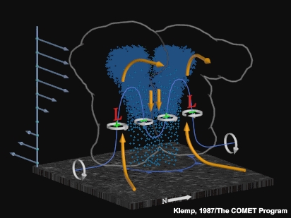 Schematic of preferred updraft growth near the flanking lows, leading to the onset of storm splitting.