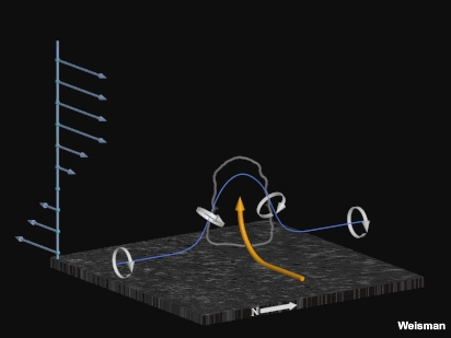 Titling of horizontal vortex lines by an updraft in unidirectional shear 