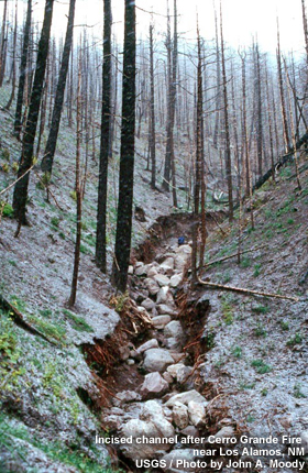 Erosion channel down a slope in a burn area