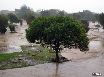 Field runoff