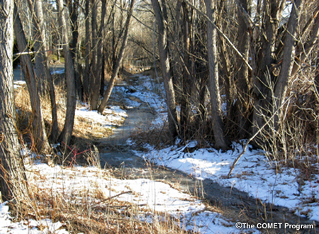 A natural streambed with rocks and trees