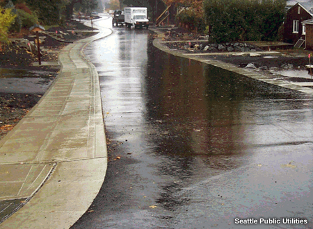 Rainfall runoff on a suburban Seattle street